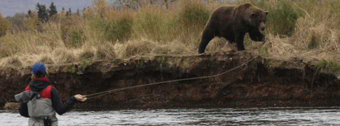 Fishing with the Bears at Brooks