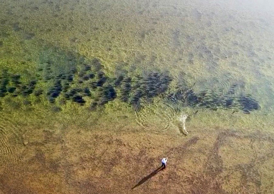 My Summer on the Egegik River- Ivy O'Guinn - FisheWear