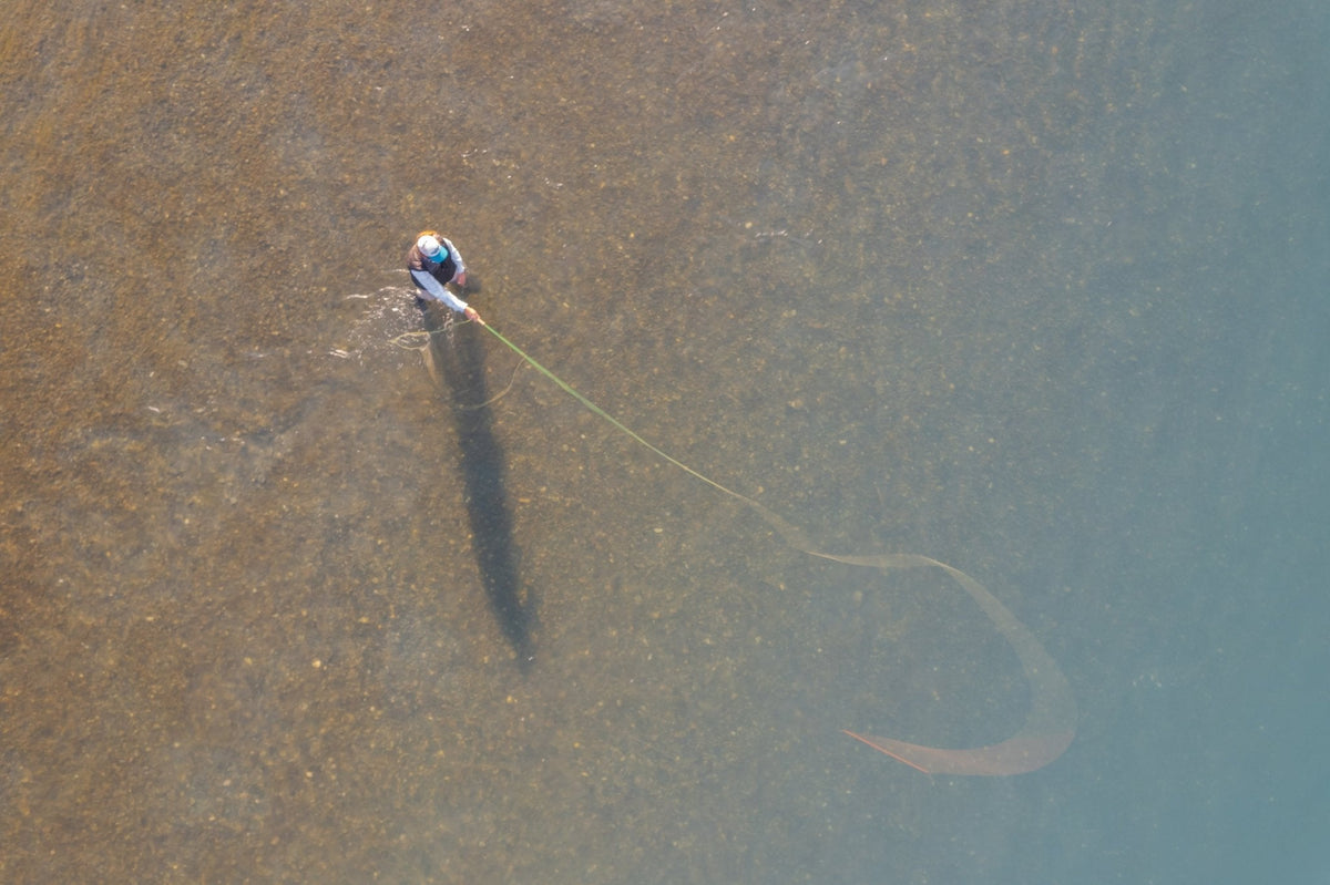 Aerial view of an angler fly casting in clear water