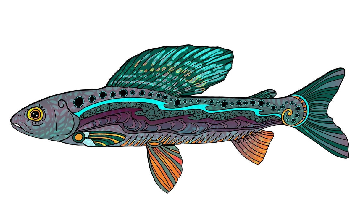 Groovy Grayling artwork inspired by Arctic grayling