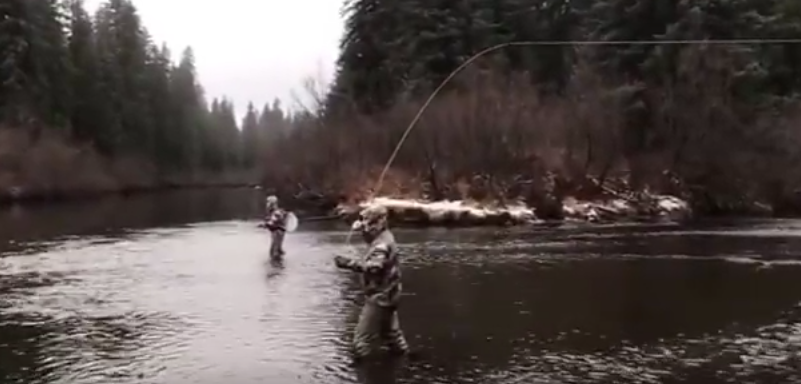 Fly Fishing Mannequin Challenge
