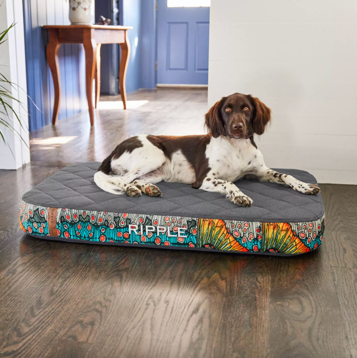 Orvis x Fishe Dolly Vee Dog Bed