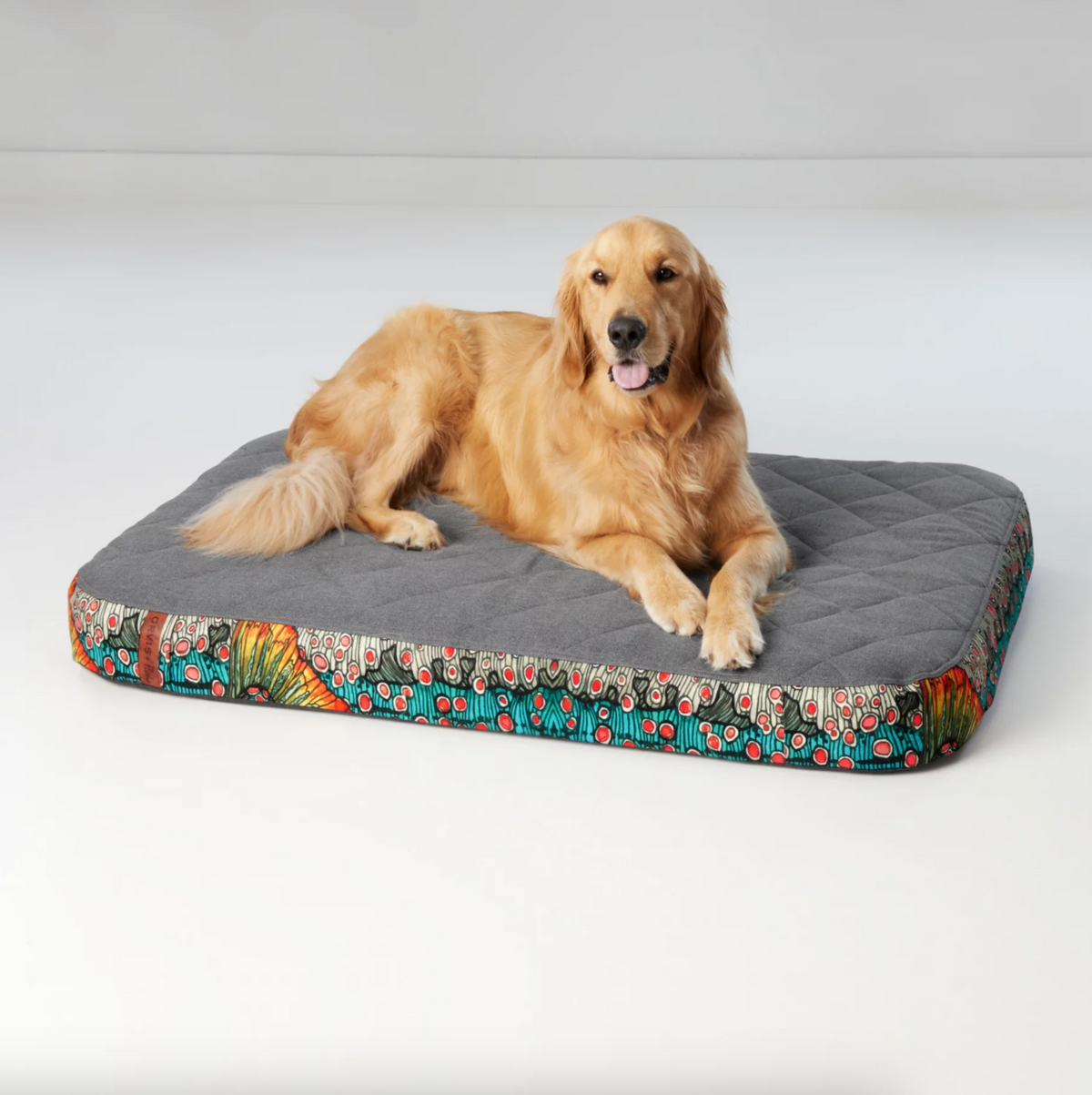 Orvis x Fishe Dolly Vee Dog Bed