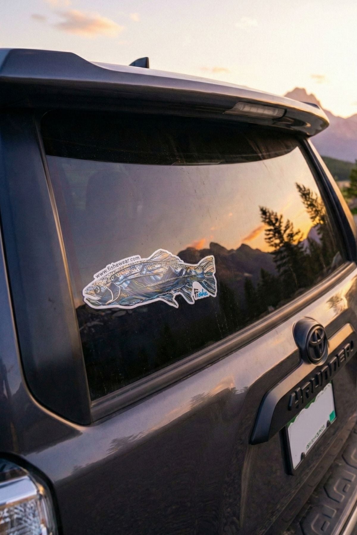 Fish decal on a car window with a sunset reflection