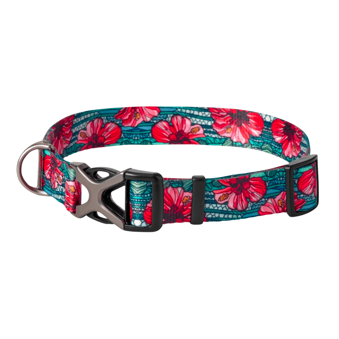 Orvis x Fishe Beauty and the Bonefish Dog Collar - FisheWear