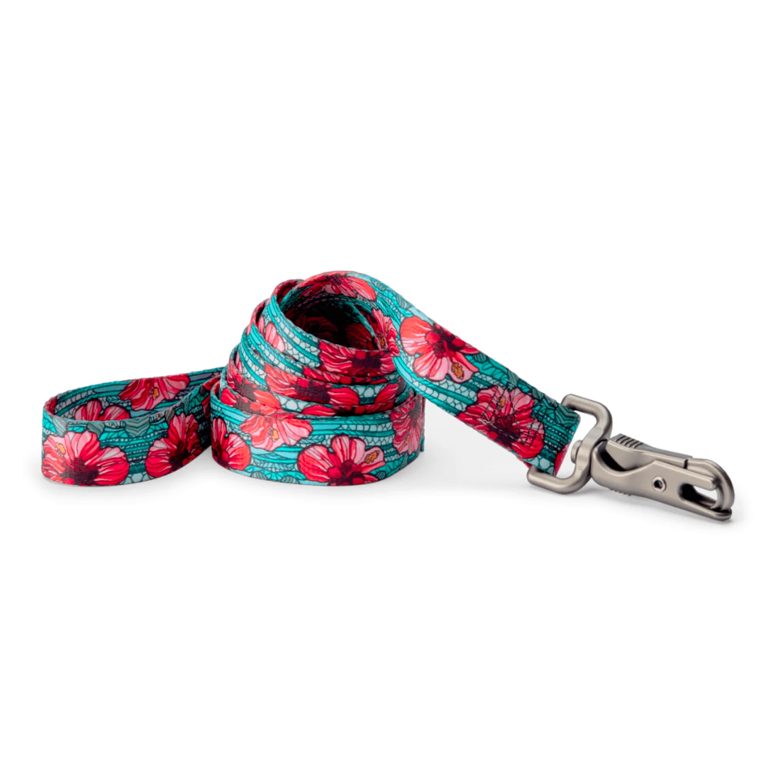 Orvis x Fishe Dog Leash - FisheWear